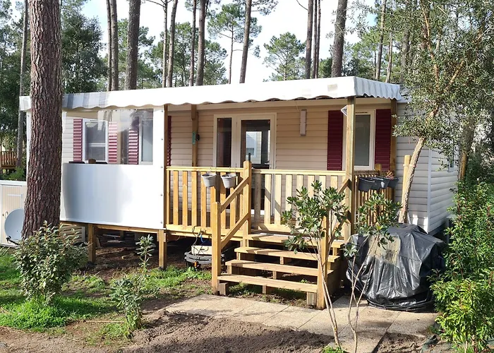 Mh 472 Confort De 36m2 3 1 Salle De Bain Idealement Situe Dans 4 Etoiles